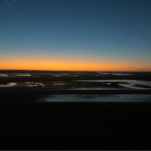 Meet your Posher, Ella